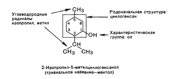 Лабораторно-практическое занятие № 3. «Классификация и номенклатура органических соединений: производные углеводородов» (3ч) - student2.ru