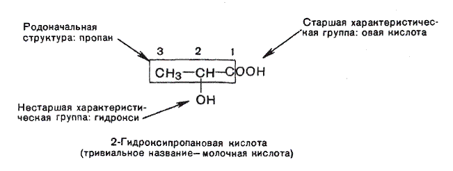 Лабораторно-практическое занятие № 3. «Классификация и номенклатура органических соединений: производные углеводородов» (3ч) - student2.ru