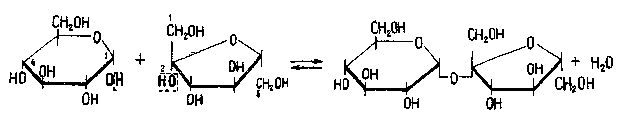 Лактоза, сахароза, түзілу жобасы және гидролизі - student2.ru