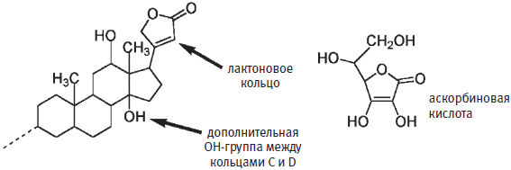 Лечебные травы, вредные травы - student2.ru