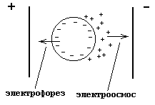 Лекция № 16. Дисперсные системы, коллоидные растворы - student2.ru