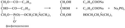 Липиды: фосфатидная кислота – строение; фосфолипиды (фосфатидилколамины, фосфатидилхолины) – состав, строение, гидролиз - student2.ru