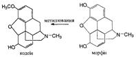 лз, похідні морфінану і морфану - student2.ru
