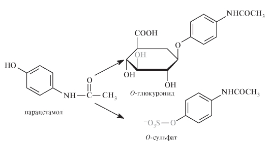 Механизмы действия и биотрансформация. Парацетамол относится к группе НПВС - student2.ru