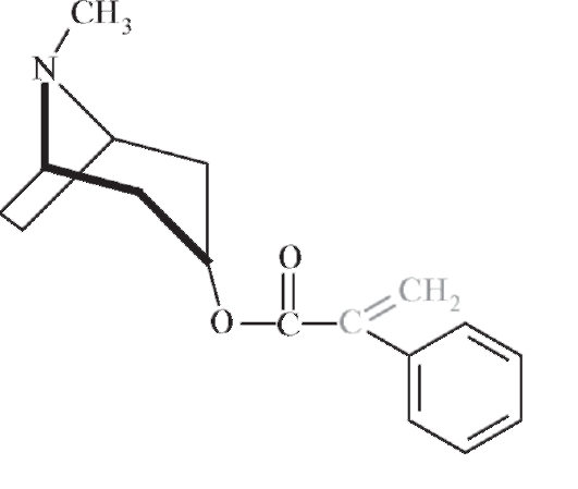 Механизмы действия и биотрансформация. Производные тропана по биологическому действию являются экзогенными лигандами - антагонистами ацетилхолина - student2.ru