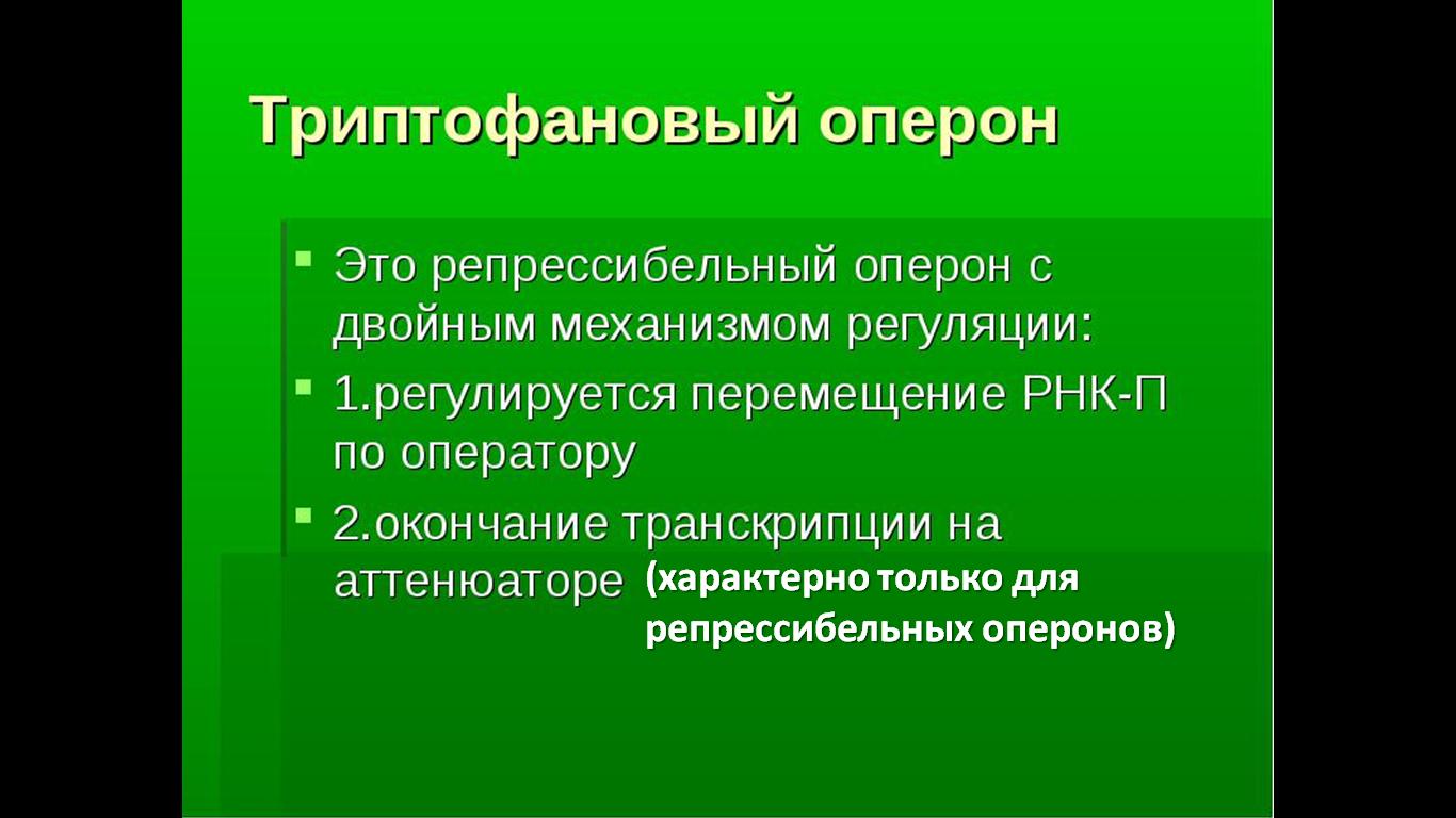 Механизмы регуляции биосинтеза белка у прокариотов. - student2.ru