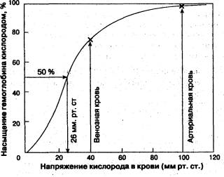 Механизмы возбудимости кардиомиоцитов. 3 страница - student2.ru