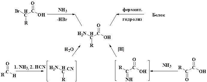 Методы получения аминокислот - student2.ru