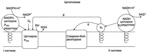 Микросомальная система гидроксилирования - student2.ru