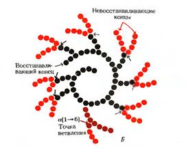 модификация аминокислот. роль. - student2.ru