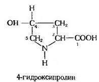 модификация аминокислот. роль. - student2.ru