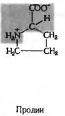 модификация аминокислот. роль. - student2.ru