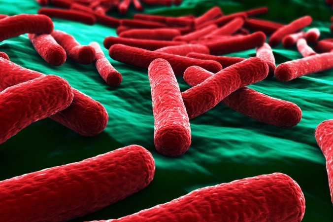Могут ли бактерии микрофлоры вызывать у нас аппетит? - student2.ru