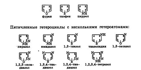 Молекулы гетероциклов могут содержать различные заместители. - student2.ru