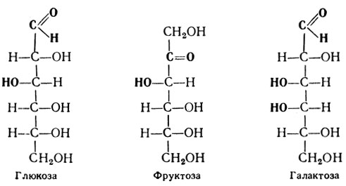 моносахариды, дисахариды, полисахариды - student2.ru