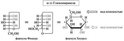 Моносахариды: окисление в гликоновые, гликаровые и гликуроновые кислоты; представители – D–глюконовая, D–глюкуроновая, D–галактуроновая кислоты; аскорбиновая кислота (витамин С) - student2.ru