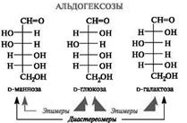 Моносахариды: окисление в гликоновые, гликаровые и гликуроновые кислоты; представители – D–глюконовая, D–глюкуроновая, D–галактуроновая кислоты; аскорбиновая кислота (витамин С) - student2.ru