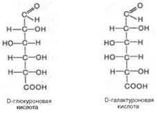 Моносахариды: окисление в гликоновые, гликаровые и гликуроновые кислоты; представители – D–глюконовая, D–глюкуроновая, D–галактуроновая кислоты; аскорбиновая кислота (витамин С) - student2.ru