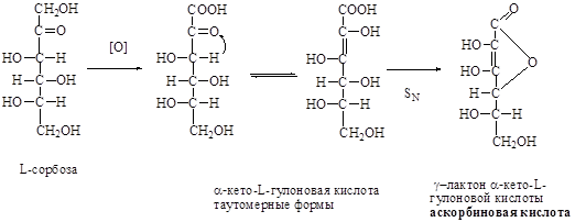 Моносахариды: окисление в гликоновые, гликаровые и гликуроновые кислоты; представители – D–глюконовая, D–глюкуроновая, D–галактуроновая кислоты; аскорбиновая кислота (витамин С) - student2.ru