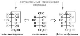 Моносахариды: окисление в гликоновые, гликаровые и гликуроновые кислоты; представители – D–глюконовая, D–глюкуроновая, D–галактуроновая кислоты; аскорбиновая кислота (витамин С) - student2.ru