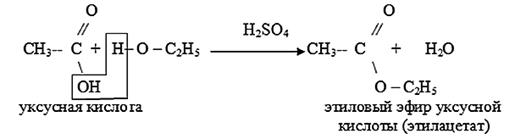 На примере этилового спирта опишите химические свойства одноатомных спиртов - student2.ru