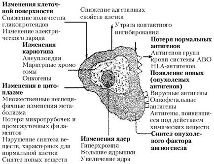 Наследственные новообразования - student2.ru