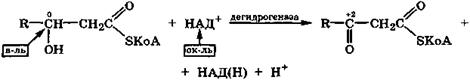 Некоторые биогенные гидроксикарбоновые кислоты и их кислотные свойства - student2.ru