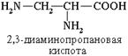 Некоторые важнейшие α-аминокислоты - student2.ru