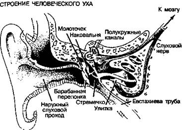 Несколько простых упражнений на каждый день, выполнение которых позволит сохранять хорошее состояние ног и улучшить кровообращение во всем теле - student2.ru