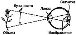 Несколько простых упражнений на каждый день, выполнение которых позволит сохранять хорошее состояние ног и улучшить кровообращение во всем теле - student2.ru