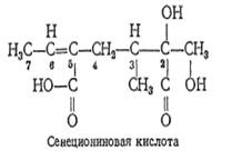 Ниже приведена формула основного метаболита производных метилпирролизидина. Указать название, перечислить основные пути биотрансформации ксенобиотиков этого ряда. - student2.ru