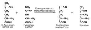 Номенклатура и классификация ферментов - student2.ru