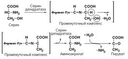 Номенклатура и классификация ферментов - student2.ru