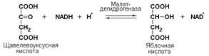 Номенклатура и классификация ферментов - student2.ru