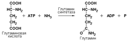 Номенклатура и классификация ферментов - student2.ru