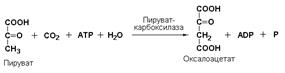 Номенклатура и классификация ферментов - student2.ru