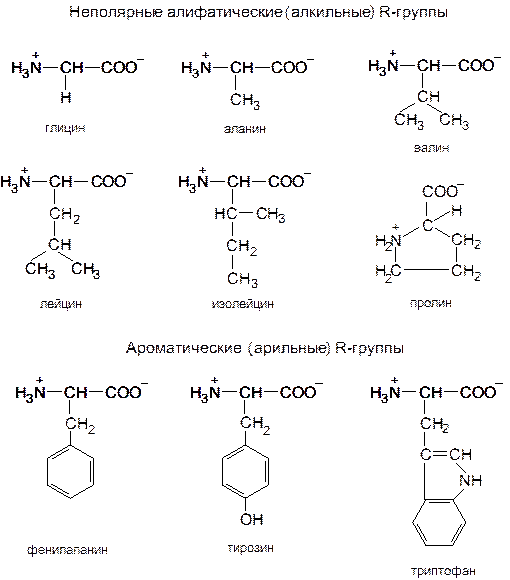 Номенклатура, молекулярная масса и значения рK аминокислот - student2.ru
