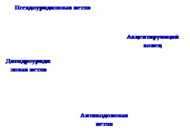 нуклеиновые кислоты, строение и свойства - student2.ru