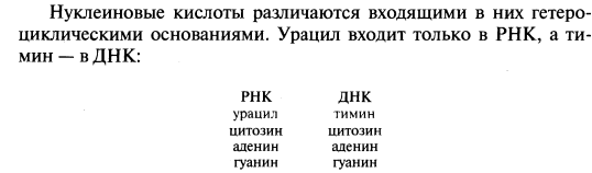 Нуклеиновые основания входящие в состав нуклеиновых кислот. - student2.ru