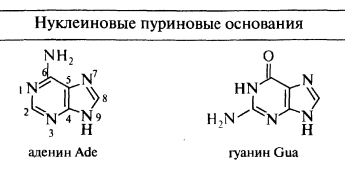 Нуклеиновые основания входящие в состав нуклеиновых кислот. - student2.ru