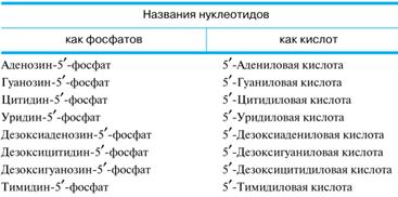 Нуклеотиды: строение, номенклатура, отношение к гидролизу - student2.ru