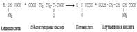 Обмен аминокислот в тканях - student2.ru