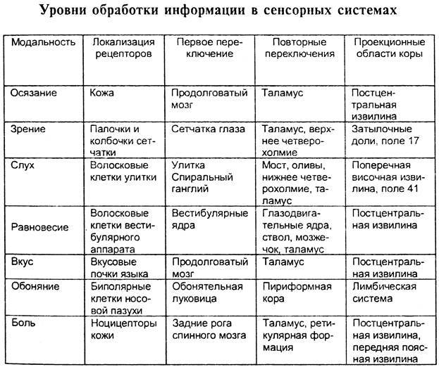 Общие принципы организации сенсорных систем. Психофизика - student2.ru