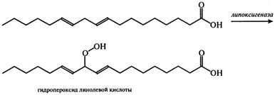 Окисление ацилглицеринов - student2.ru