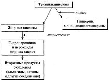 Окисление ацилглицеринов - student2.ru