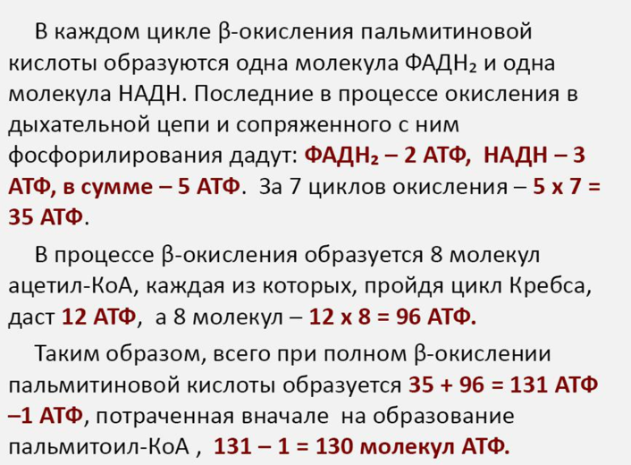 Окисление высших жирных кислот в тканях, биологическая роль процесса. - student2.ru