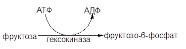Окислительное декарбоксилирование пировиноградной кислоты (ПВК) - student2.ru