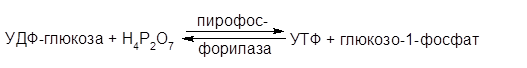 Окислительное декарбоксилирование пировиноградной кислоты (ПВК) - student2.ru