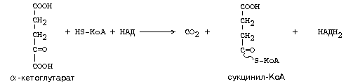 окислительное декарбоксилирование пирувата - student2.ru