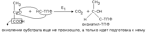 окислительное декарбоксилирование пирувата - student2.ru
